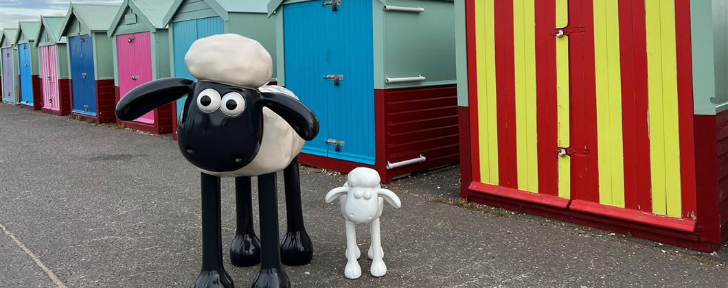 Shaun And Beach Huts